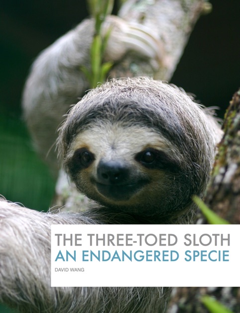 Endangered Species: The Three-Toed Sloth by David Wang on iBooks
