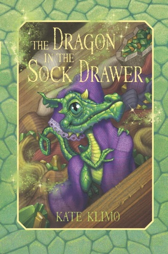 Dragon Keepers 1 The Dragon in the Sock Drawer
