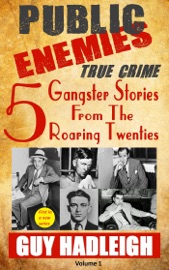 PUBLIC ENEMIES: 5 TRUE CRIME GANGSTER STORIES FROM THE ROARING TWENTIES