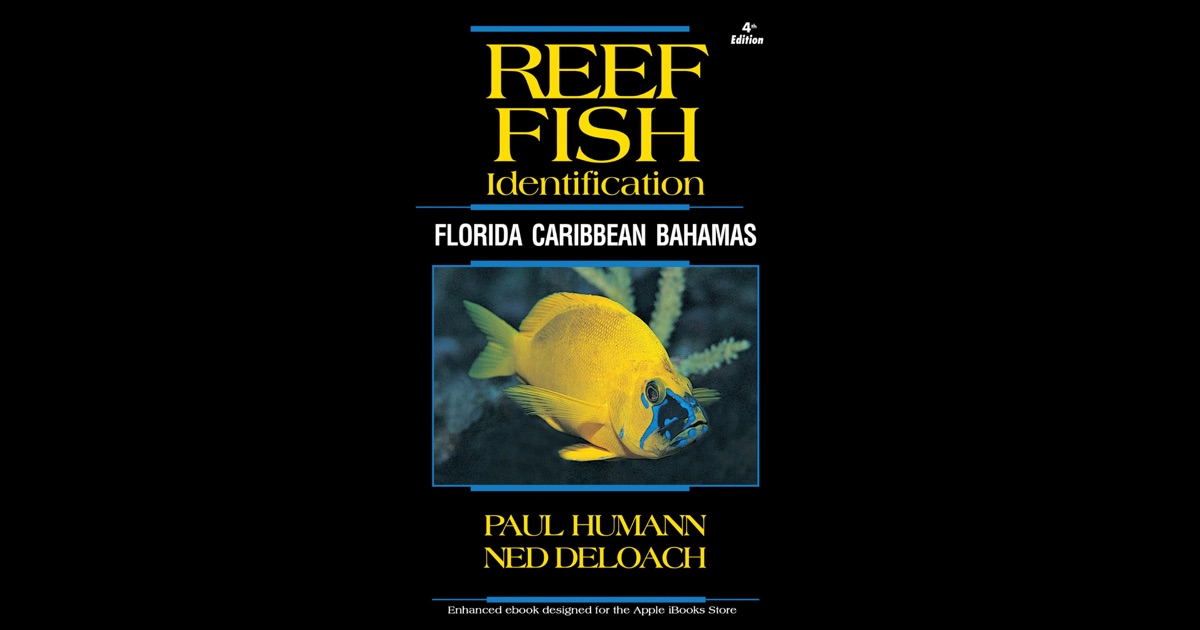 reef-fish-identification-florida-caribbean-bahamas-by-paul-humann