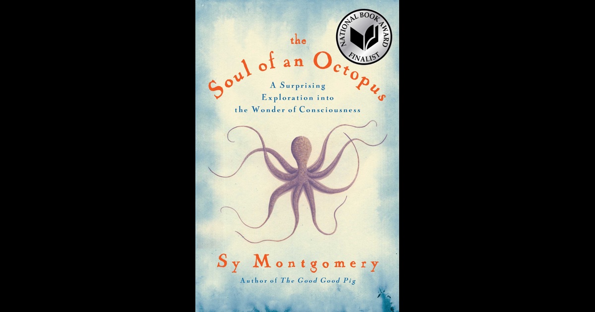 the soul of an octopus
