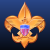 no app image