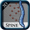 3D Spine St