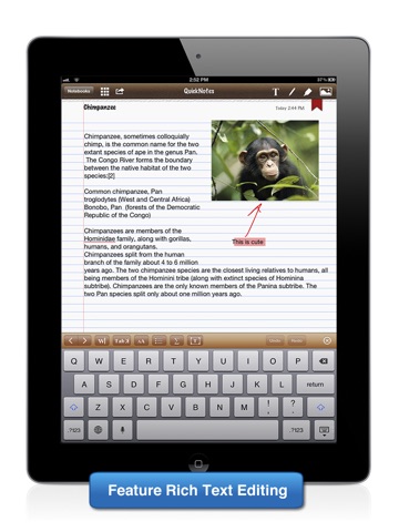 iPad Screenshot 2