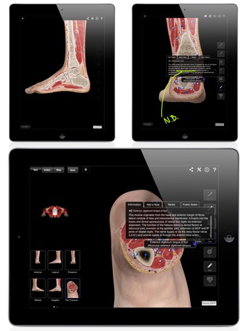 iPad Screenshot 2