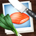 The Photo Cookbook – Quick & Easy