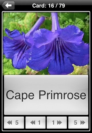 iPhone Screenshot 3