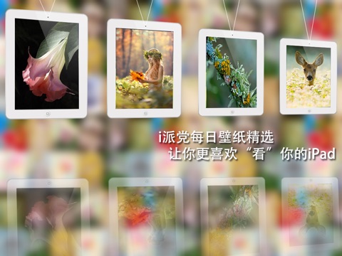 iPad 屏幕截图 5