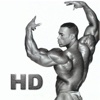Bodybuilders Collection HD
