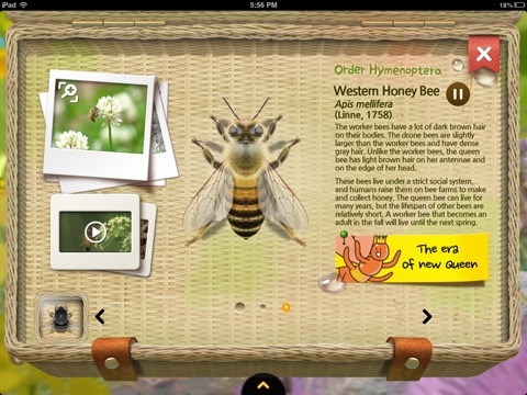 iPad Screenshot 3