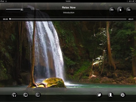 iPad Screenshot 5