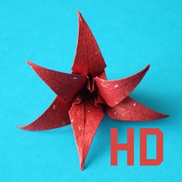 Fleurs Origami HD