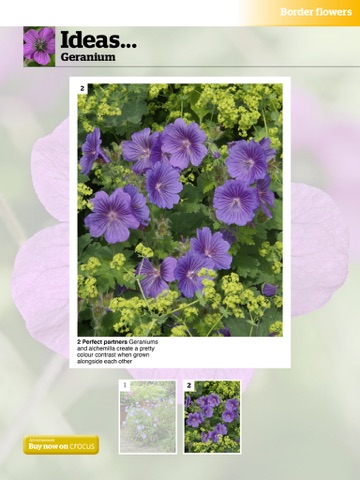 iPad Screenshot 3