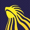 Stripe Board