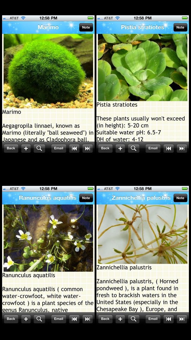 Aquarium Plants Encyc... screenshot1