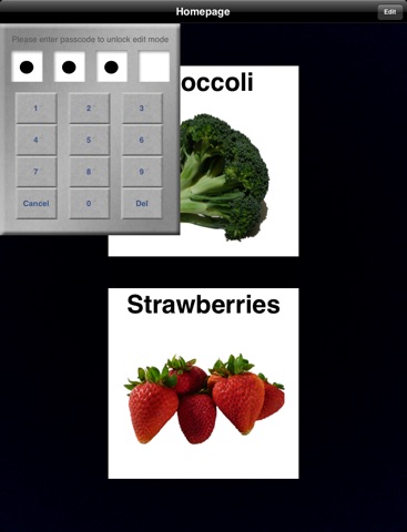 iPad Screenshot 4
