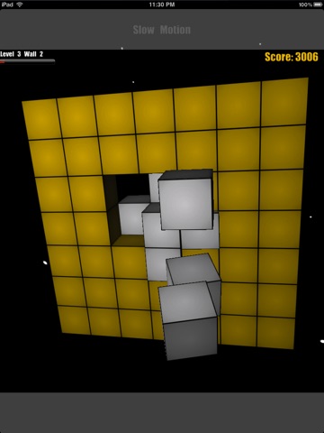 iPad Screenshot 4