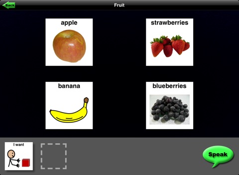 iPad Screenshot 2