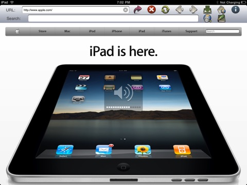 iPad Screenshot 2