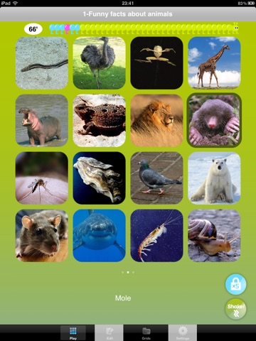 iPad Screenshot 1