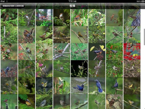 Captura de tela do iPad 4
