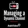 Course for Managing a Dynamic YouTube Channel