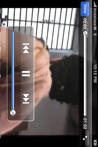 iPhone Screenshot 2