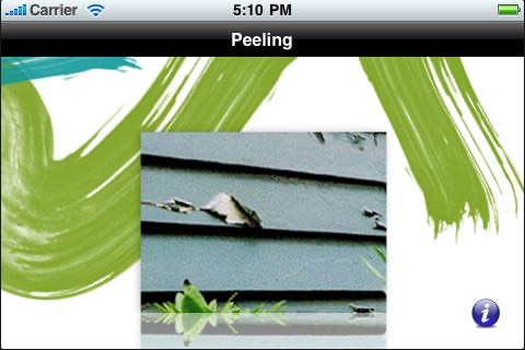 iPhone Screenshot 2