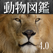動く!動物図鑑:Animal Life for Japan