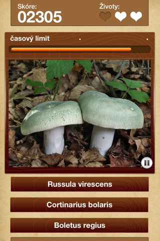 iPhone Screenshot 4