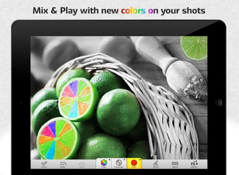 iPad Screenshot 2