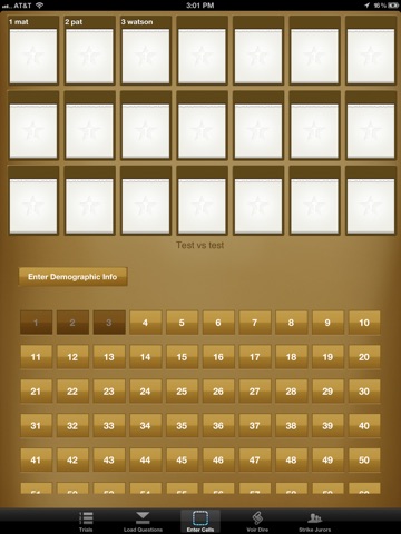 iPad Screenshot 3