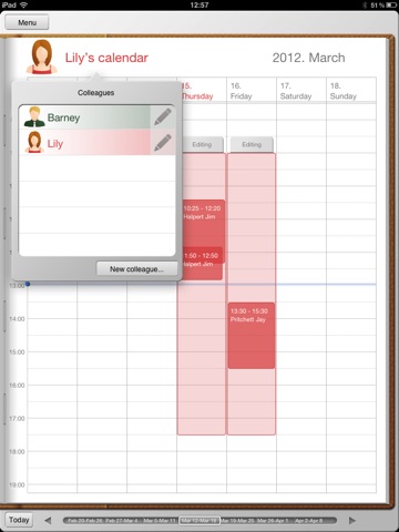 iPad Screenshot 2