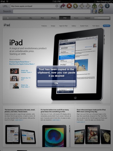 iPad Screenshot 4