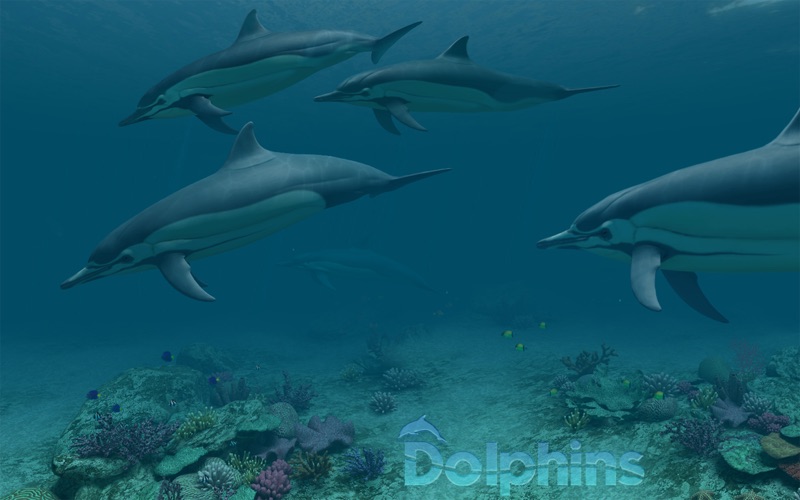 Dolphins 3D 앱스토어 스크린샷
