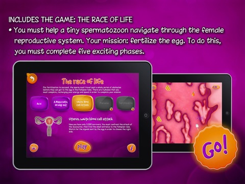 iPad Screenshot 5