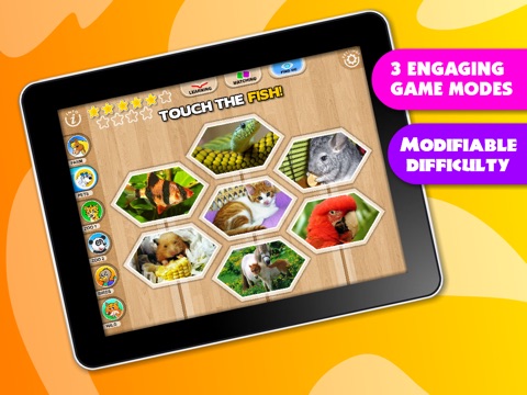 iPad Screenshot 4