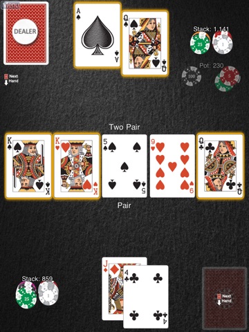 iPad Screenshot 3