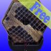 Chinese Instruments Free