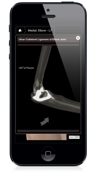 iPhone Screenshot 5