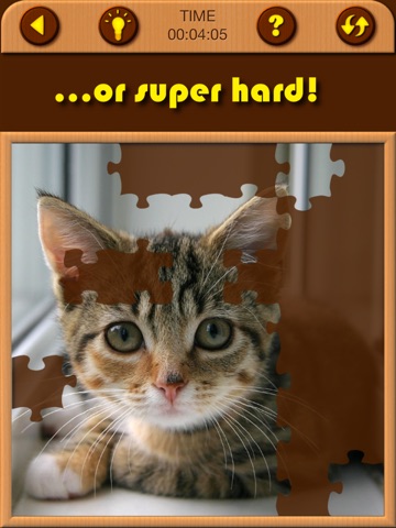 Screenshots of Cat Kitten Kitty Pet Baby Animal JIgsaw Puzzle Games for Girls who love educational memory learning puzzles for kids and toddlers for iPad