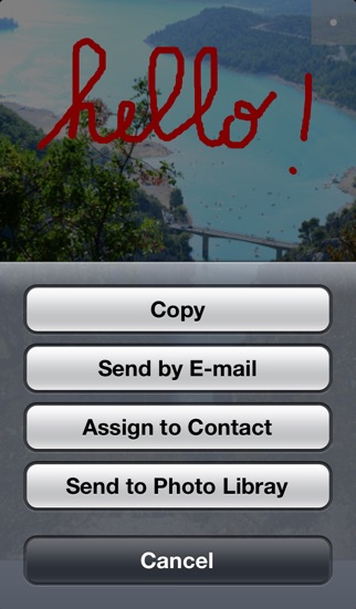 iPhone Screenshot 2