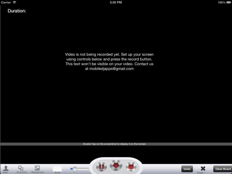 iPad Screenshot 2