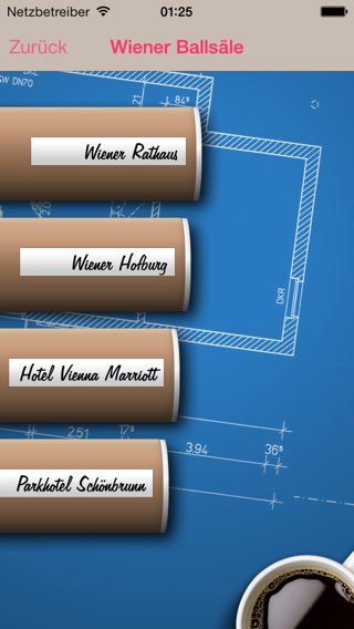 iPhone Screenshot 4