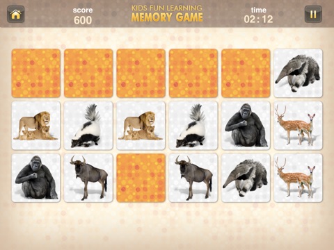 iPad Screenshot 4