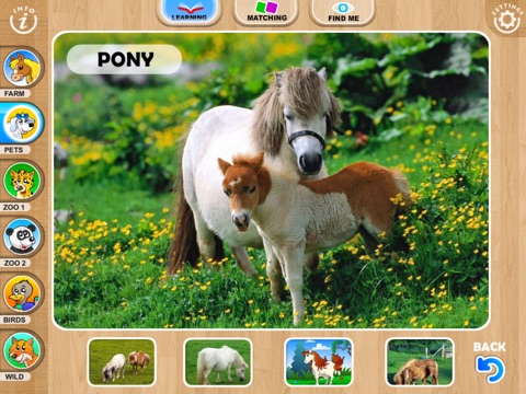 iPad Screenshot 4