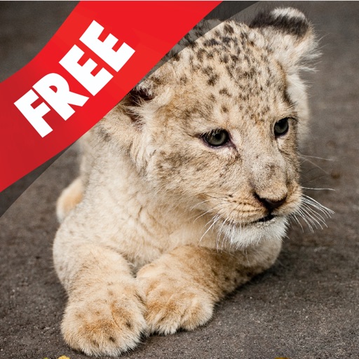 フリーキッズパズル 教えて　動物園：　ライオン、トラ、サルなど、楽しい動物園の仲間達について学びます。