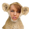 Image Faker