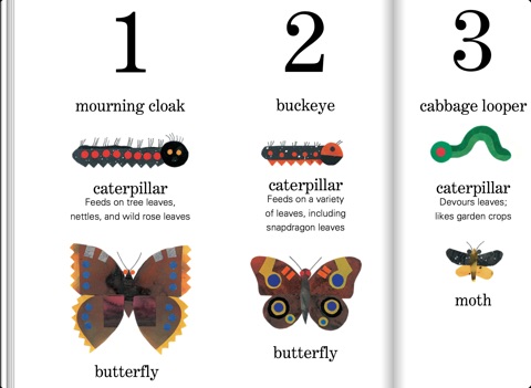 ten little caterpillars by bill martin jr