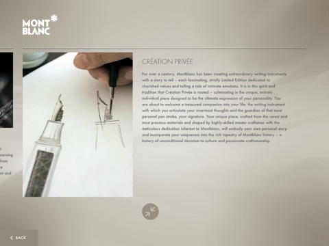 iPad Screenshot 5